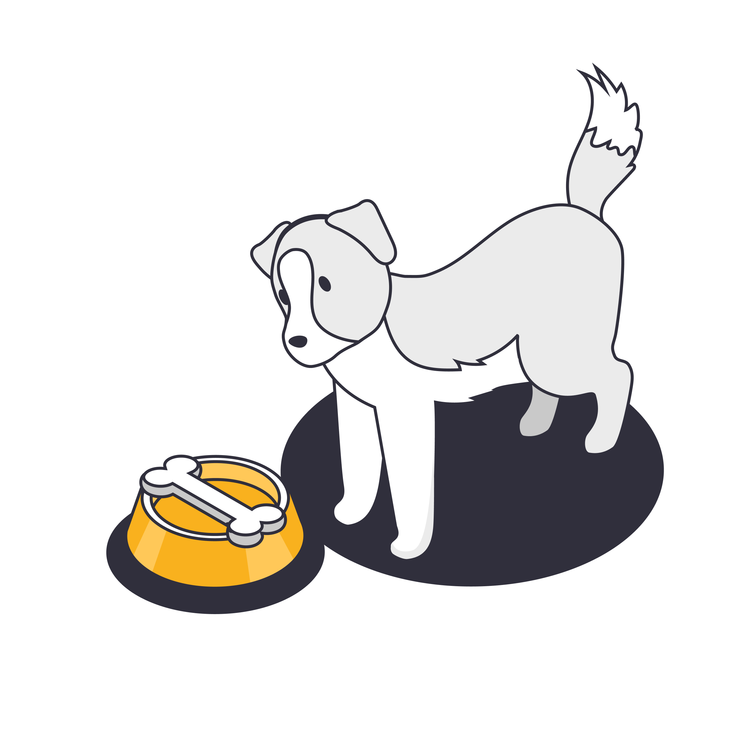 Illustration animaux