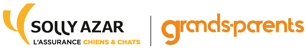 logo sollyazar