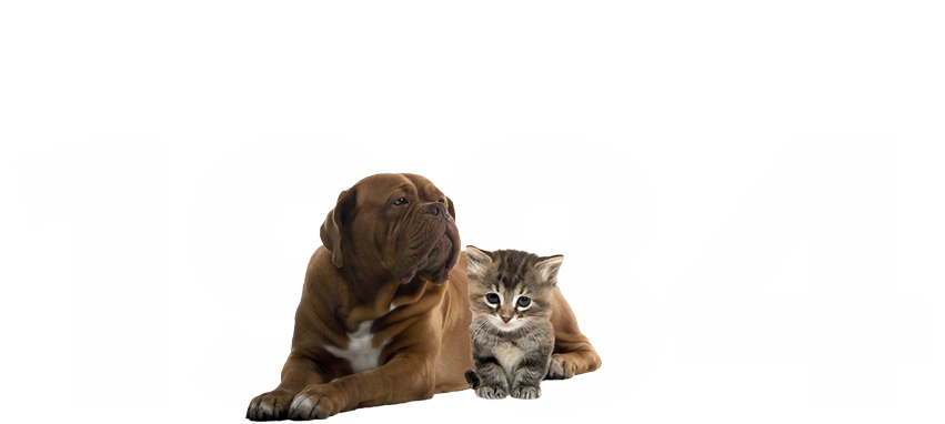 1984
