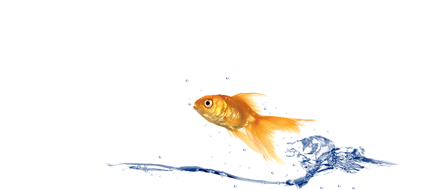 2016