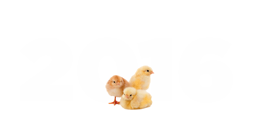 2016