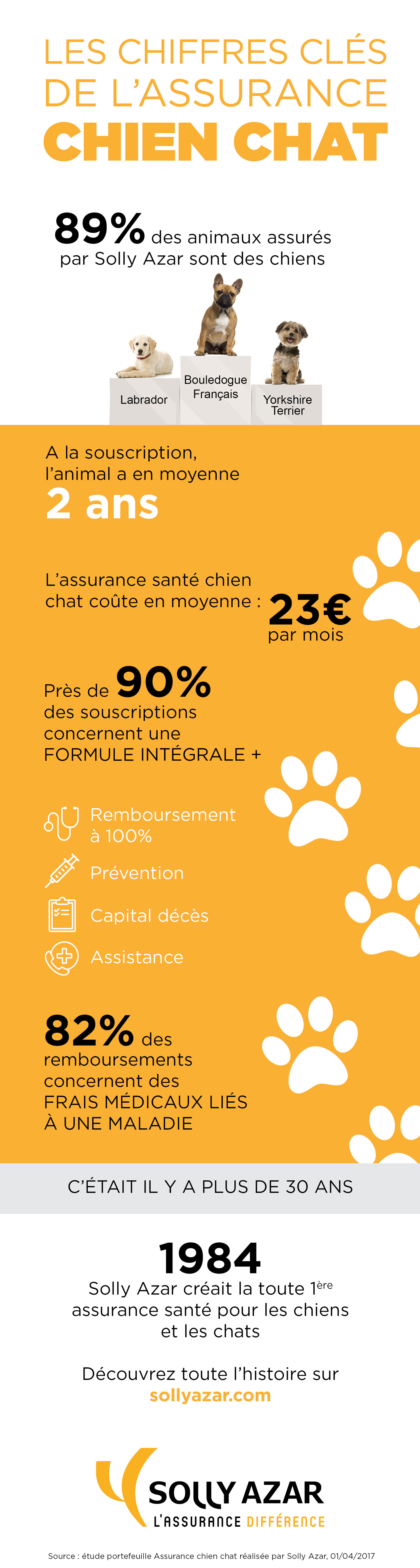 infographie chien chat