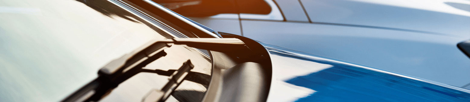 Prime à la conversion - Solly Azar