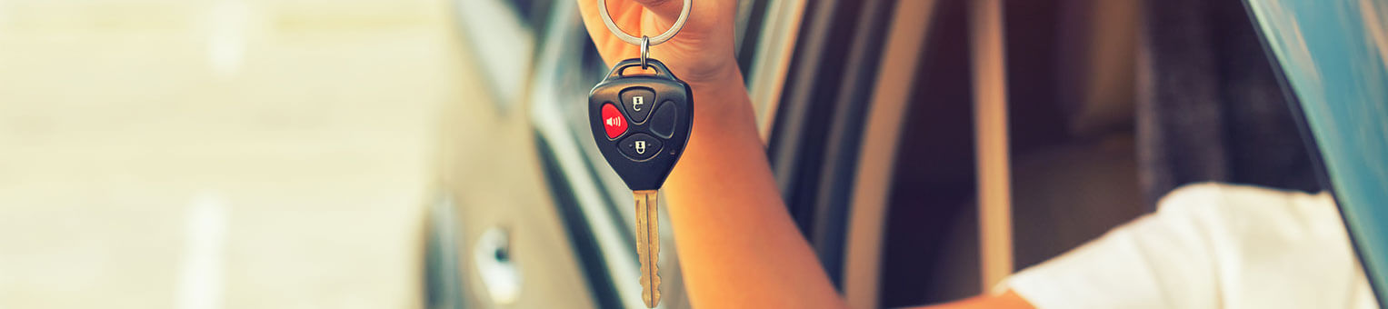 Jeune conducteur - Solly Azar