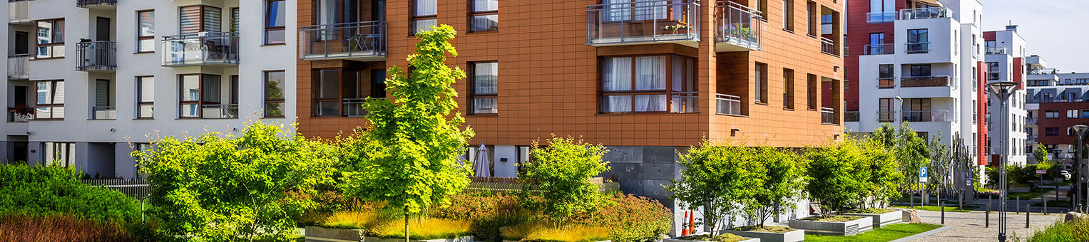 Loi Pinel - Solly Azar