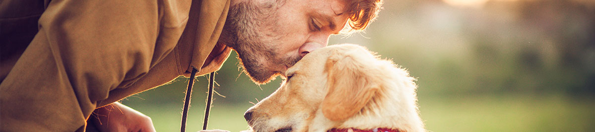 Comparatif assurance chien - Solly Azar