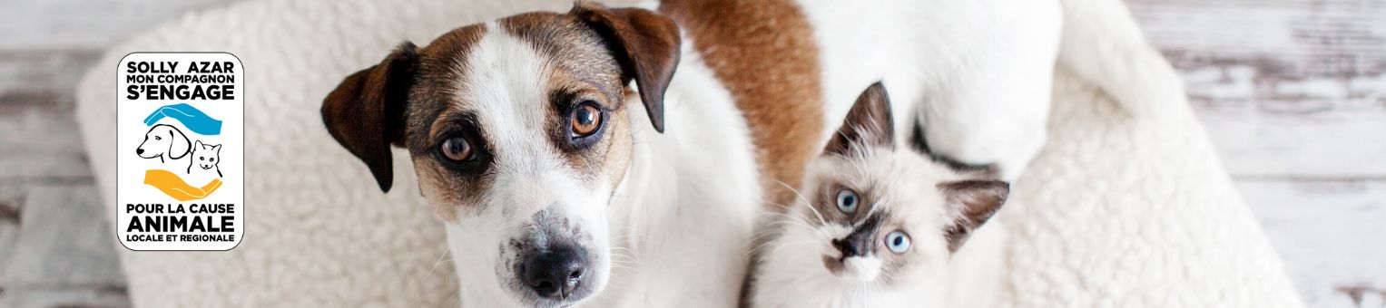 Solly Azar Mon Compagnon s'engage pour la cause animale locale et régionale