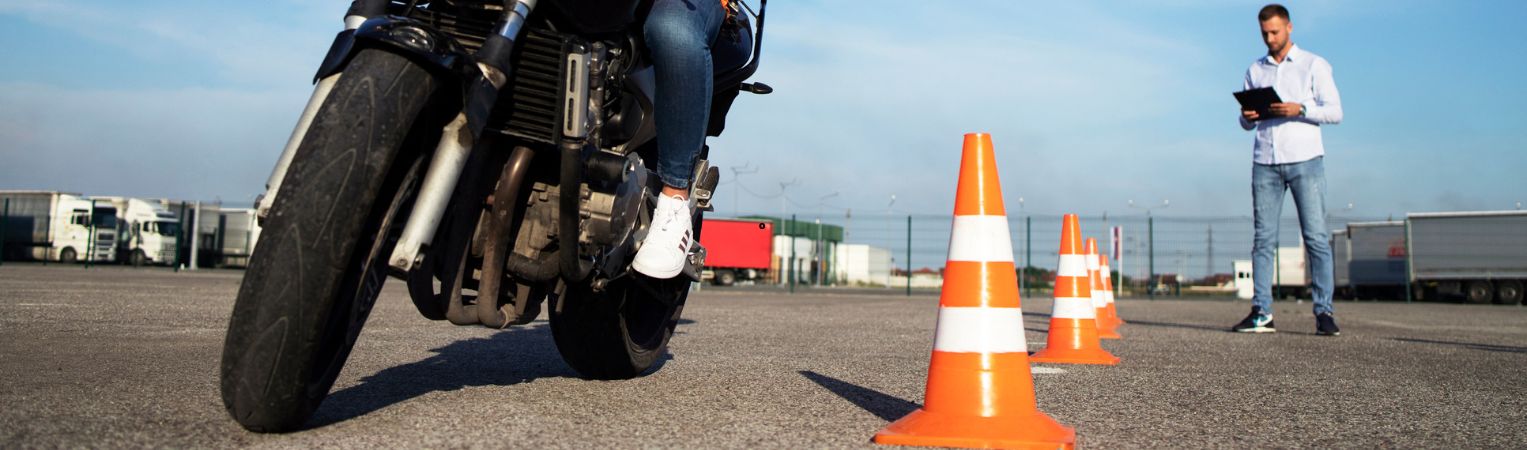 Stage de remise en selle - Solly Azar