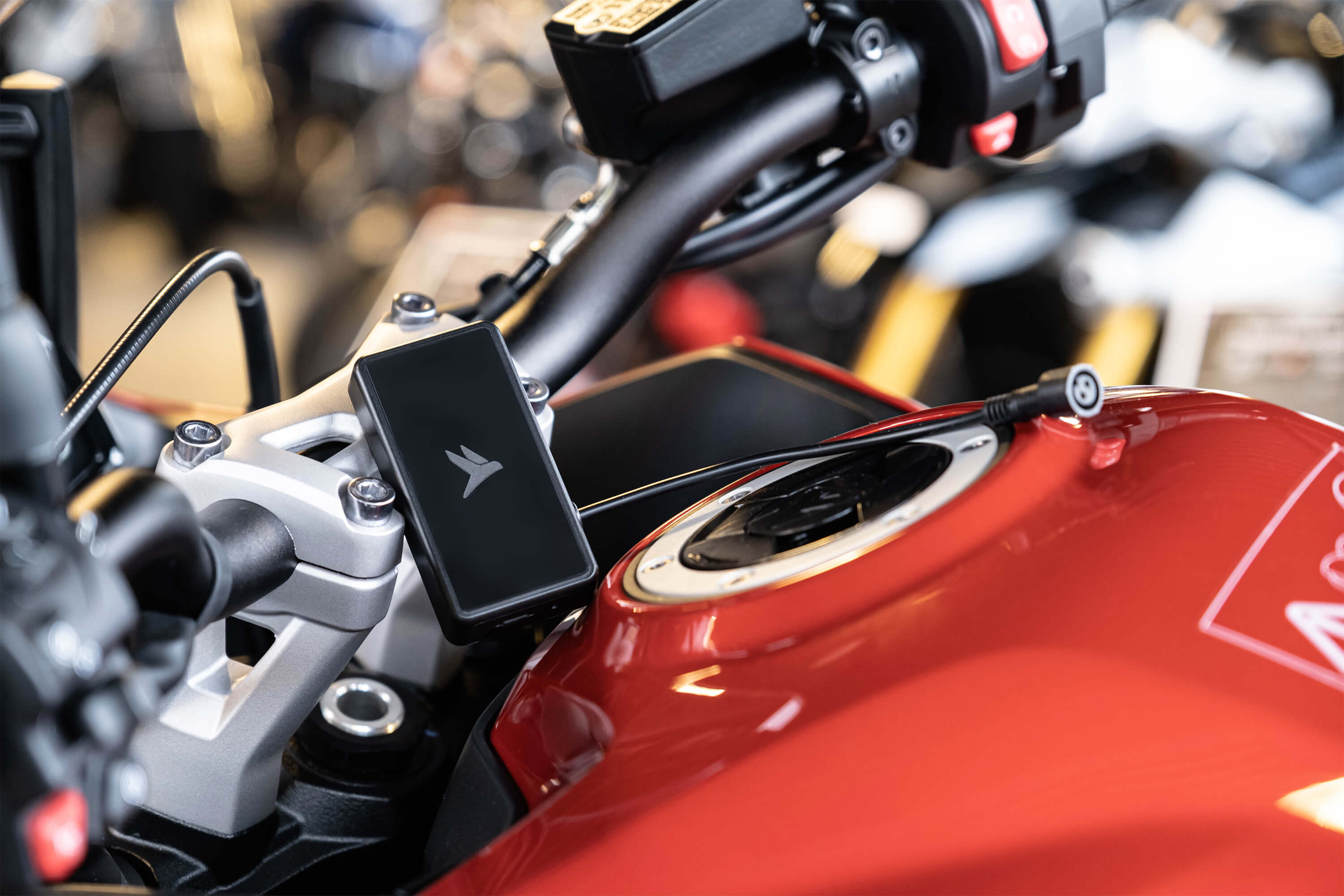 Partenaire Solly Azar Flashbird 