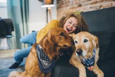 Assurance pour plusieurs animaux  