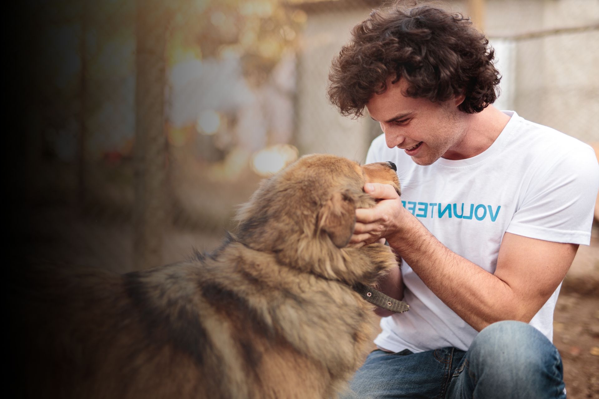 Don animal entre particulier : les règles à respecter 