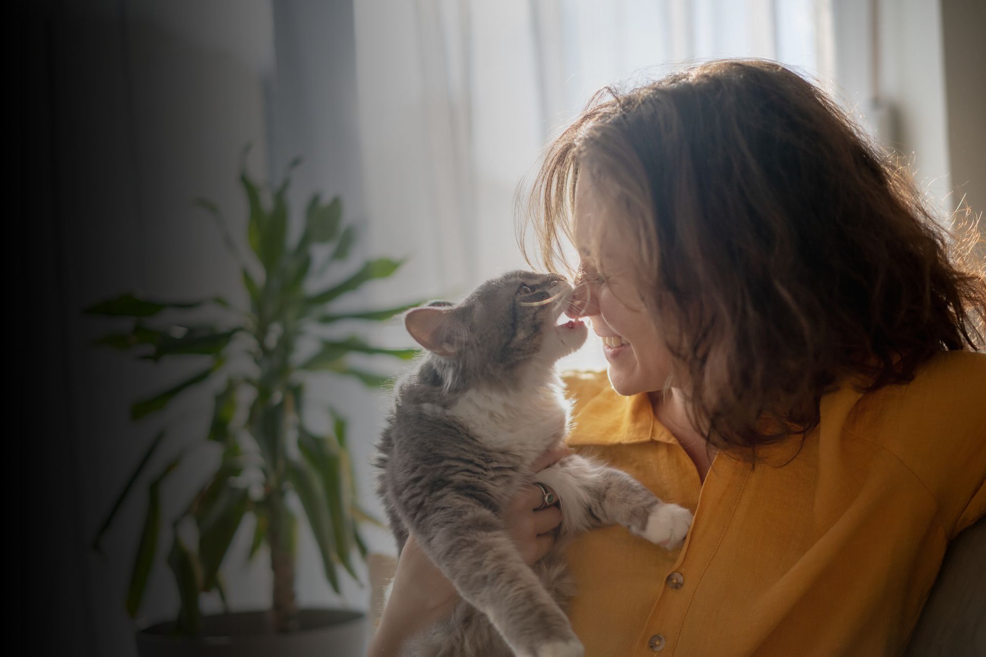 Mon animal me mordille, pourquoi ?   