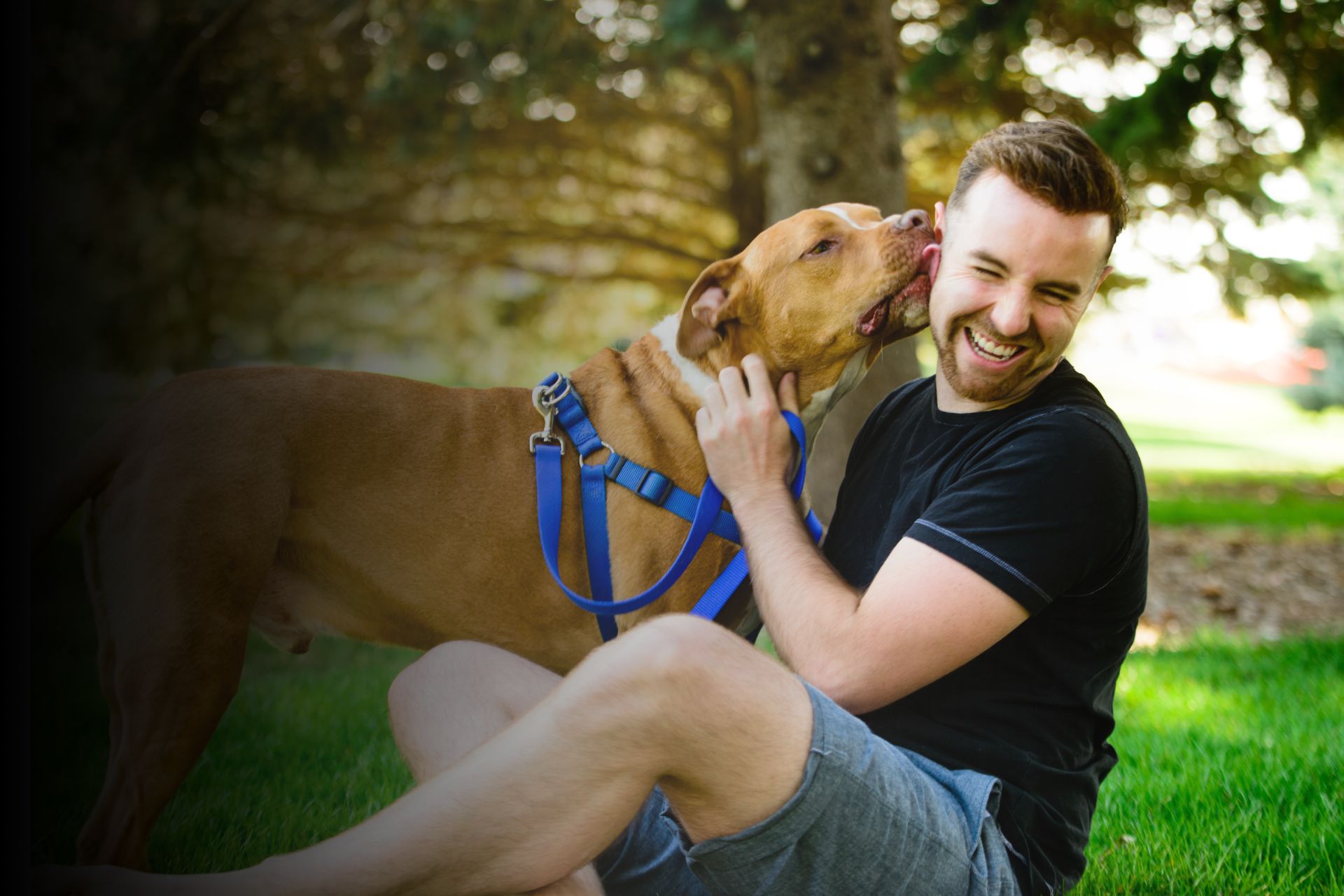 Pourquoi mon animal me lèche ?