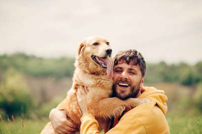Assurance Chien