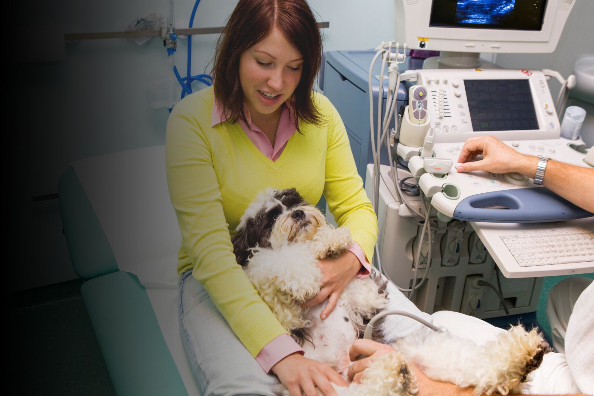 Grossesse chez le chien : Comment bien accompagner ma chienne ?     