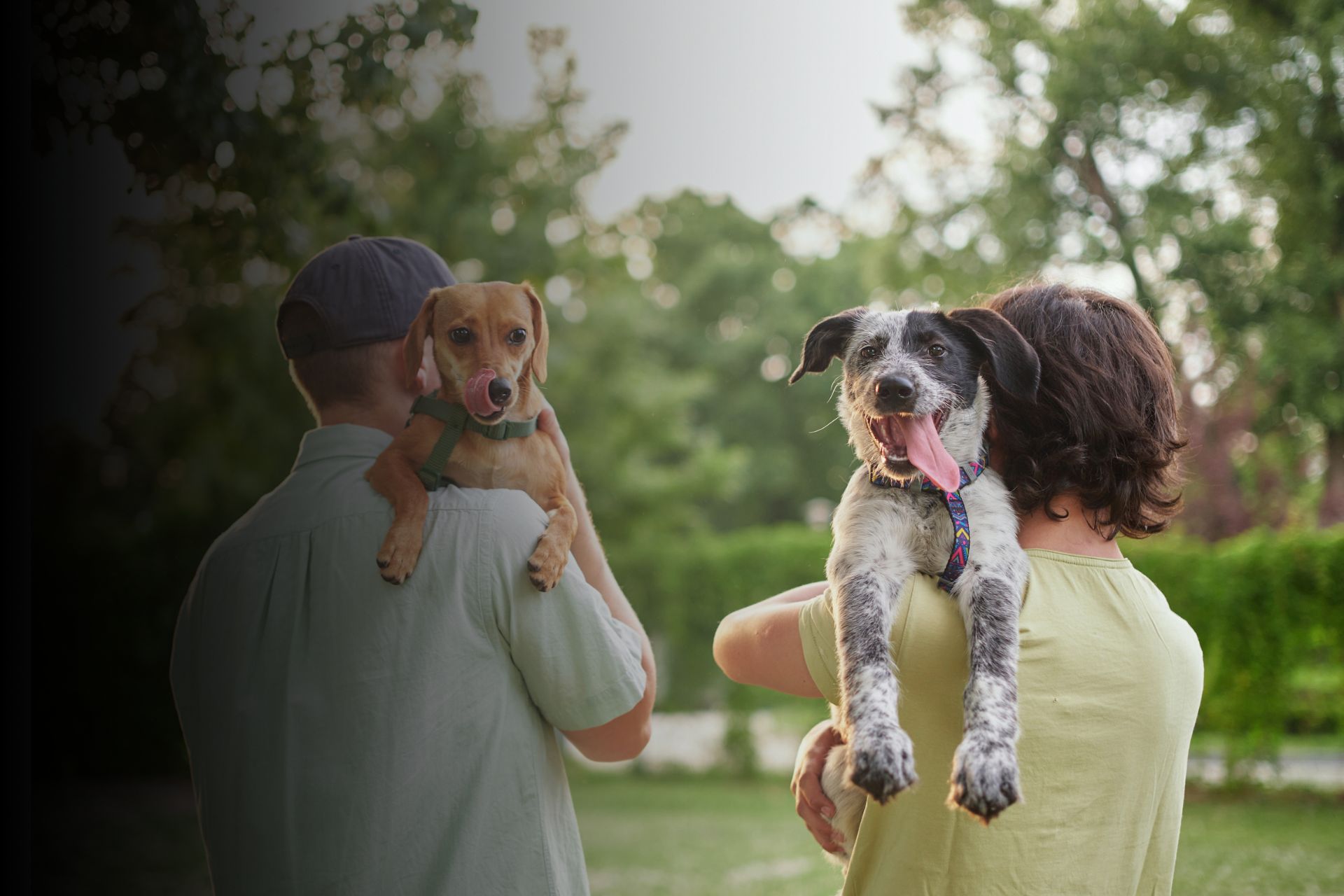 Quel chien choisir en fonction de votre mode de vie ?