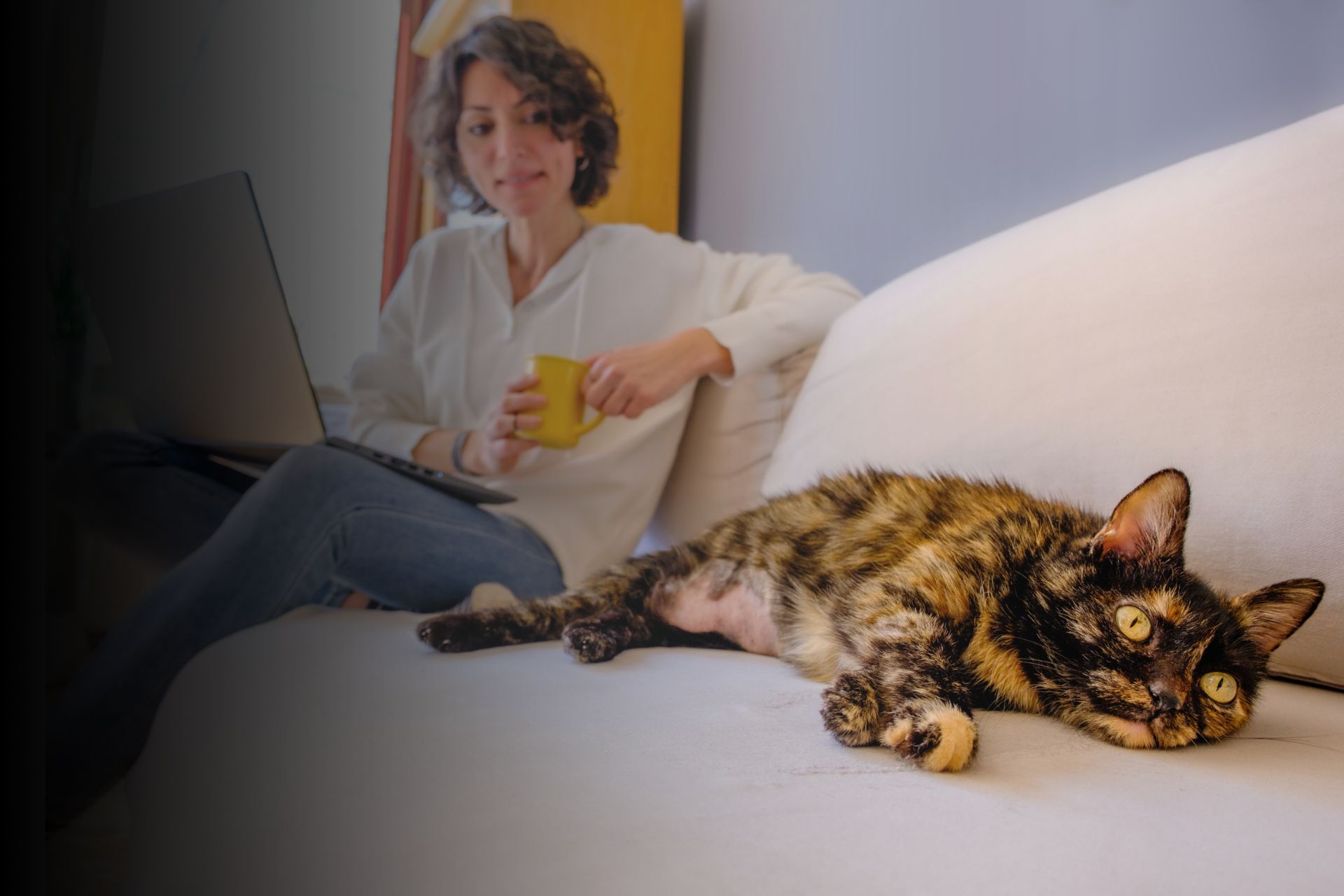 Tout savoir sur les mythes de la robe "écaille de tortue"   