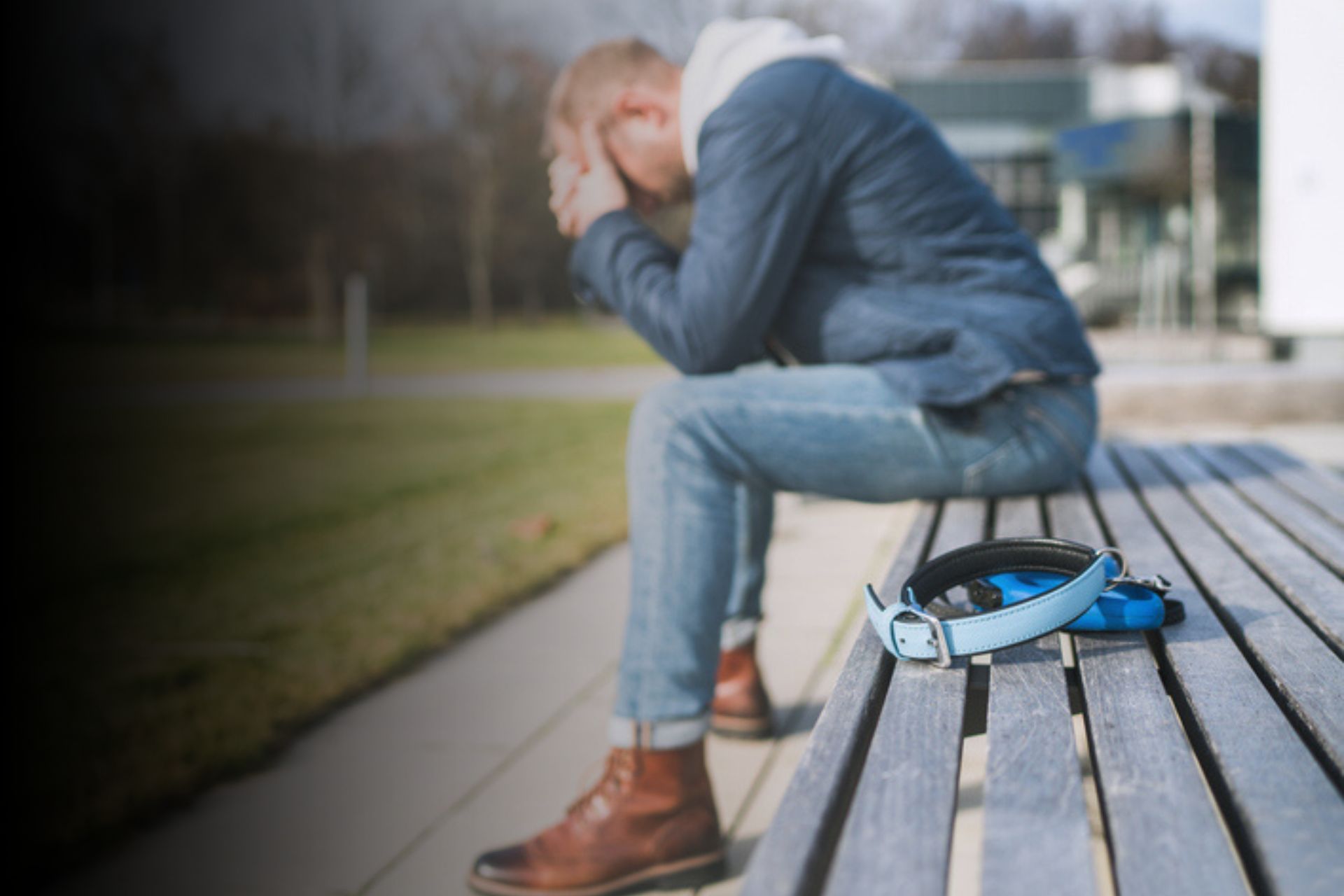 Que faire lorsque qu'on trouve des animaux perdus ?        