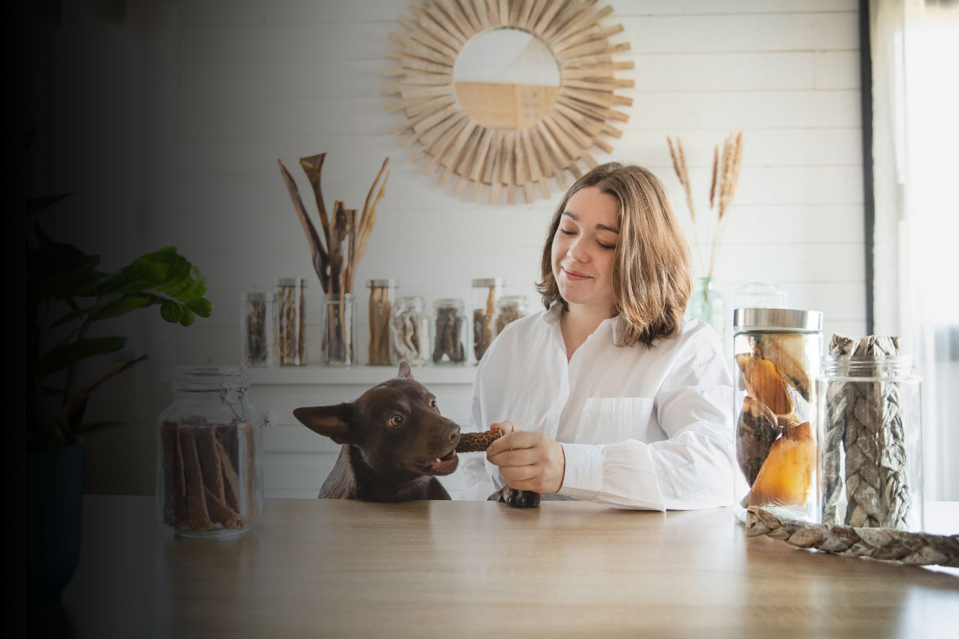 Solly Azar accueille un nouveau partenaire : Cani-gourmand, une collaboration prometteuse 