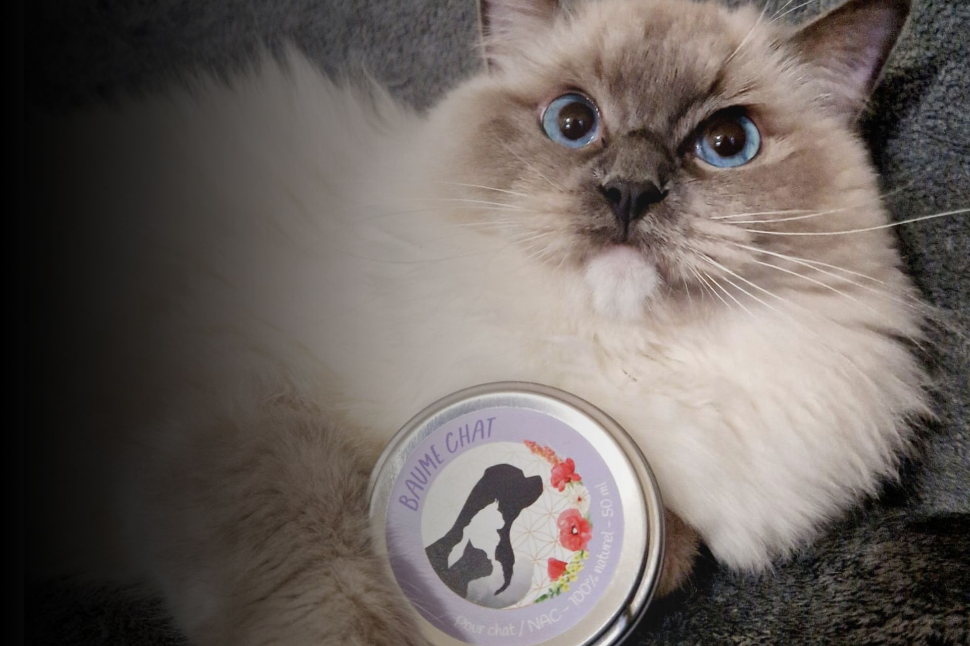 Solly Azar vous donne un coup de patte en s’associant à Natur'O'Poil pour prendre soins de votre animal  