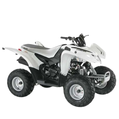 Pour un AEON Cobra 220