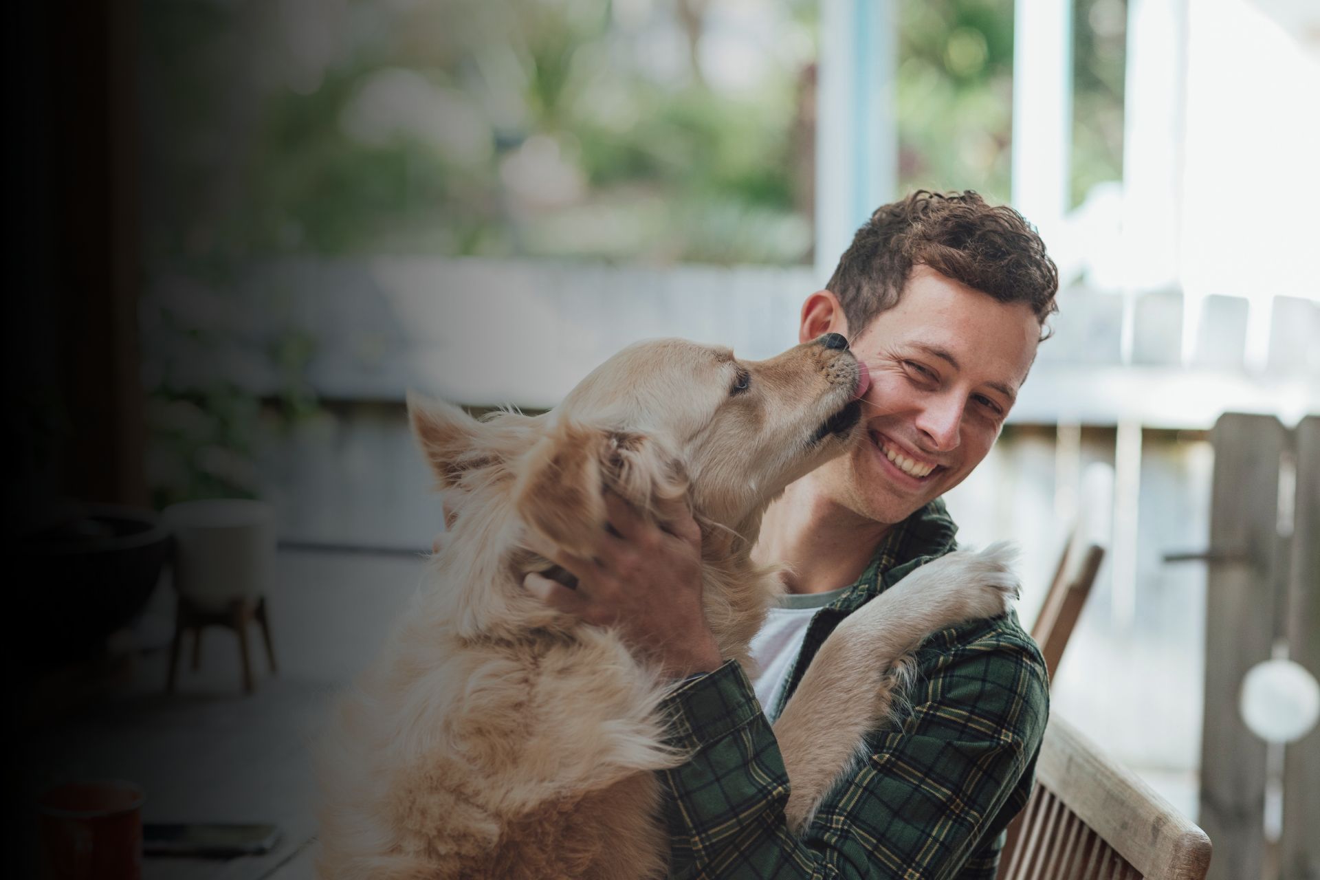 Pourquoi mon chien me lèche ?