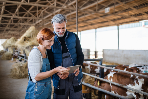 Je suis dans le domaine agricole