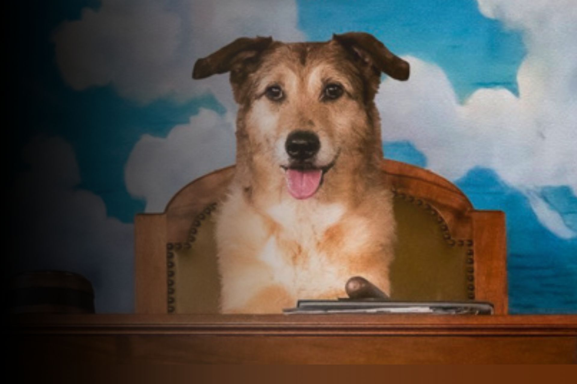 Canigourmand : Fier partenaire du film "Le Procès du Chien"