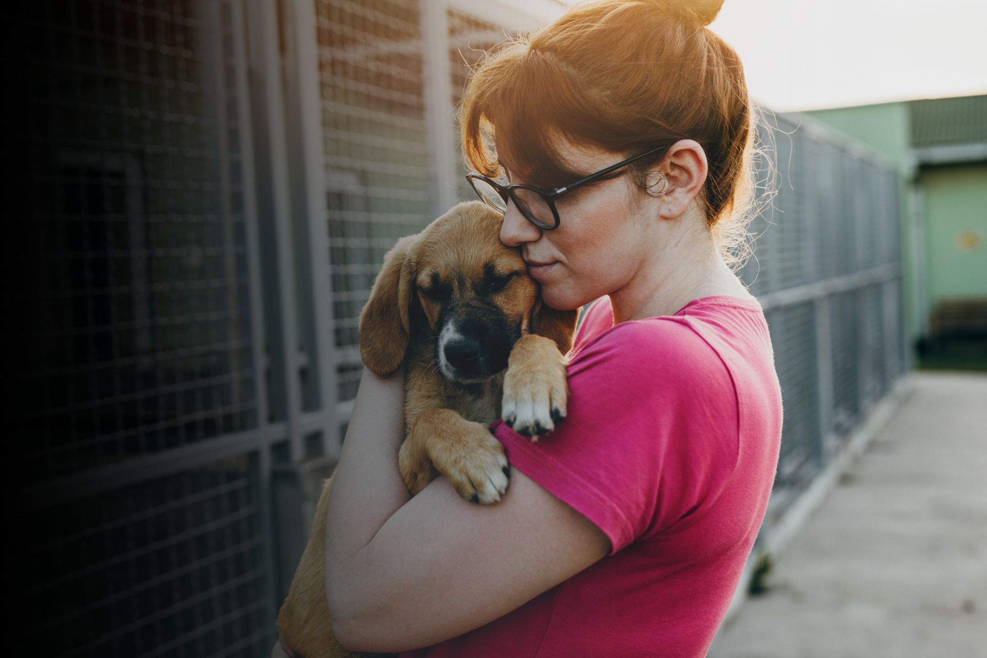 Adopter un chien abandonné ou maltraité : comment lui redonner confiance ?