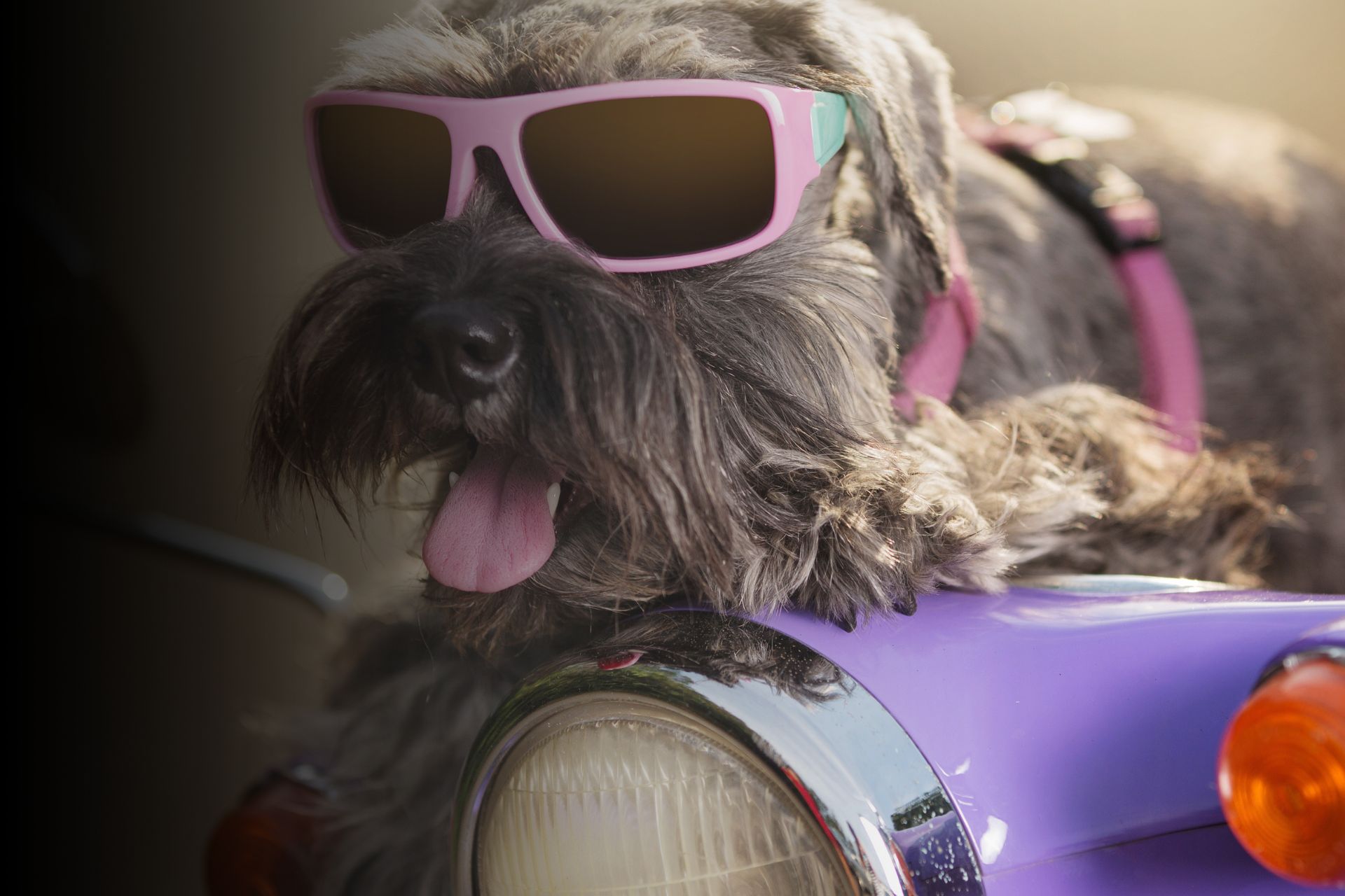 Solly Azar s’associe à Invoxia pour vous offrir plus de sécurité !