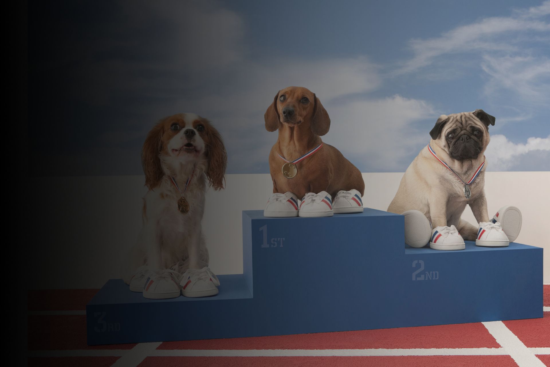 concours-de-beaute-quels-sont-les-criteres-de-selection