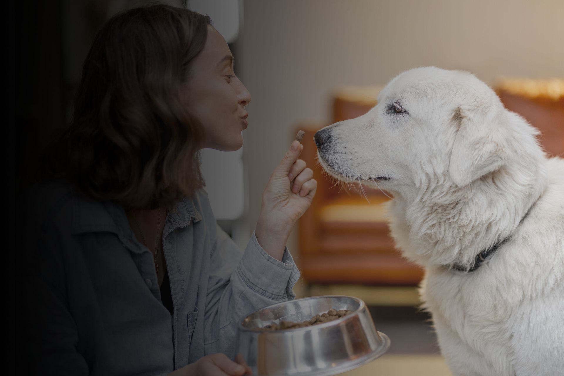 les-friandises-pour-animaux-maison-quelles-sont-les-bonnes-recettes