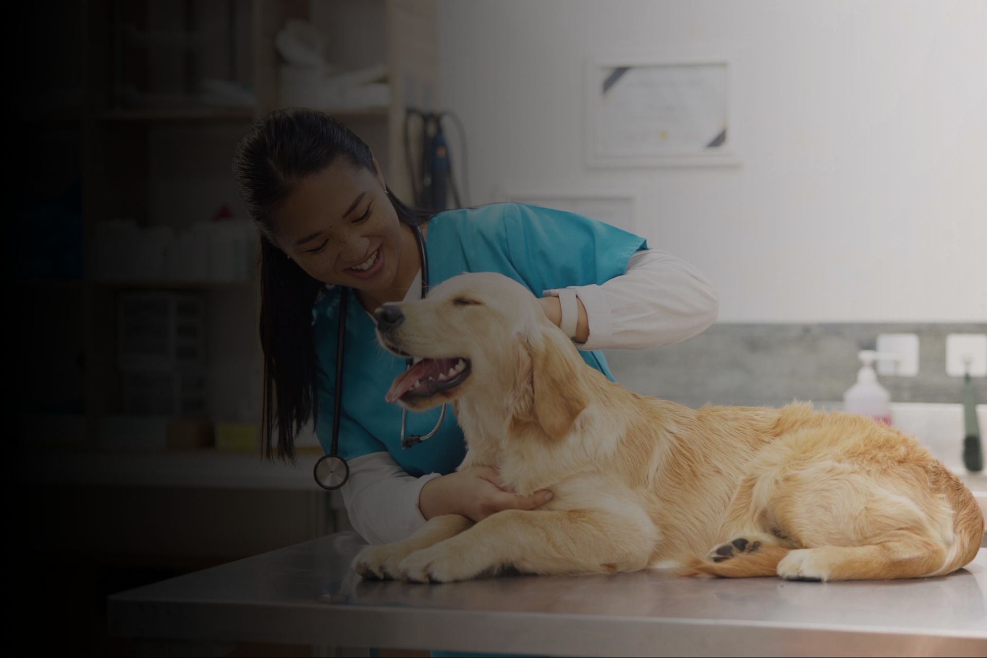 pourquoi-les-maladies-genetiques-sont-elles-exclues-des-assurances-animaux