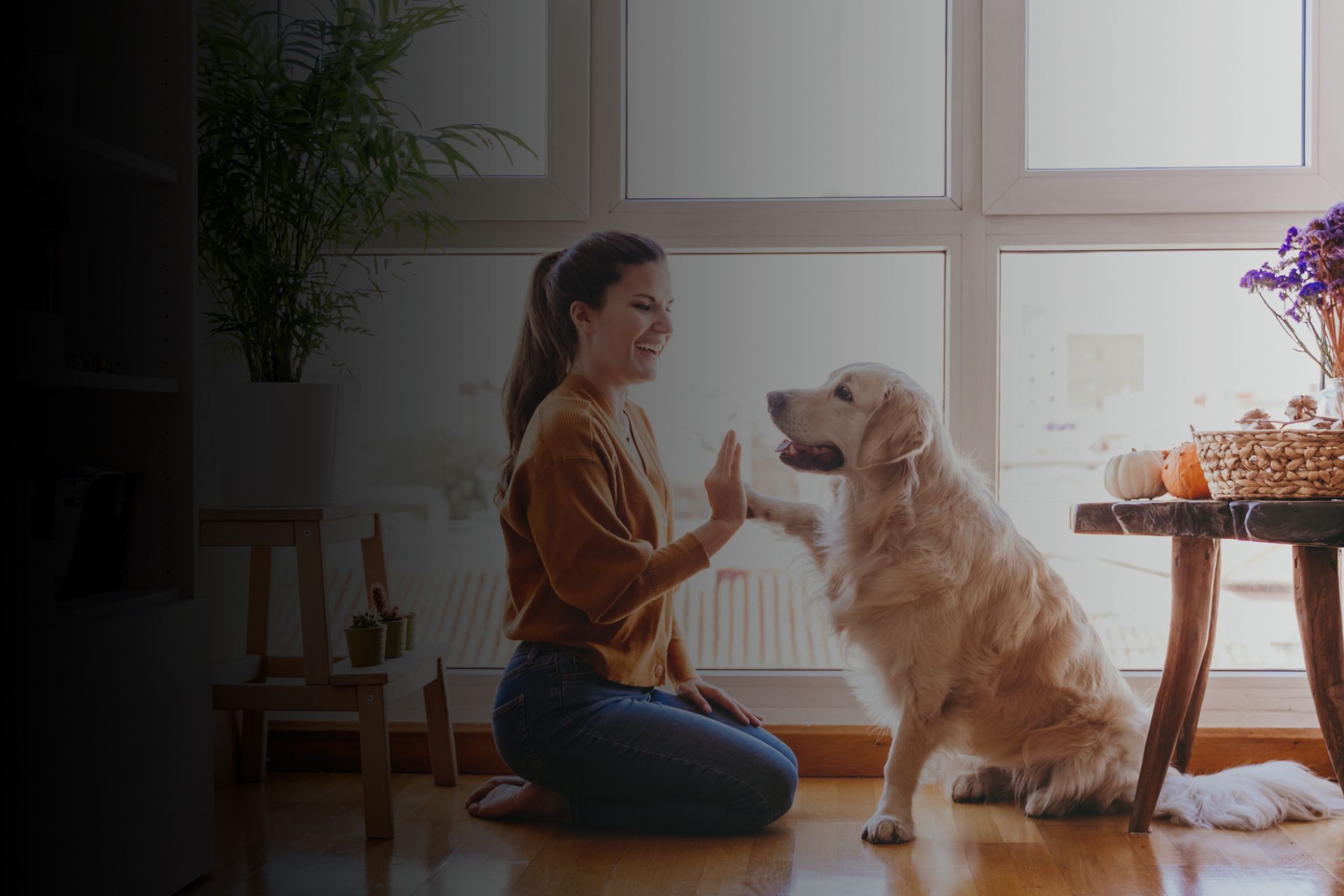 Chien et appartement : est-ce une bonne idée ?