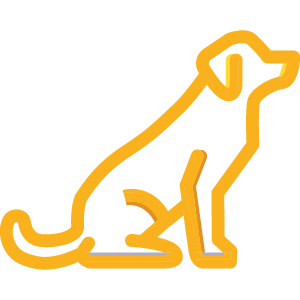 chien