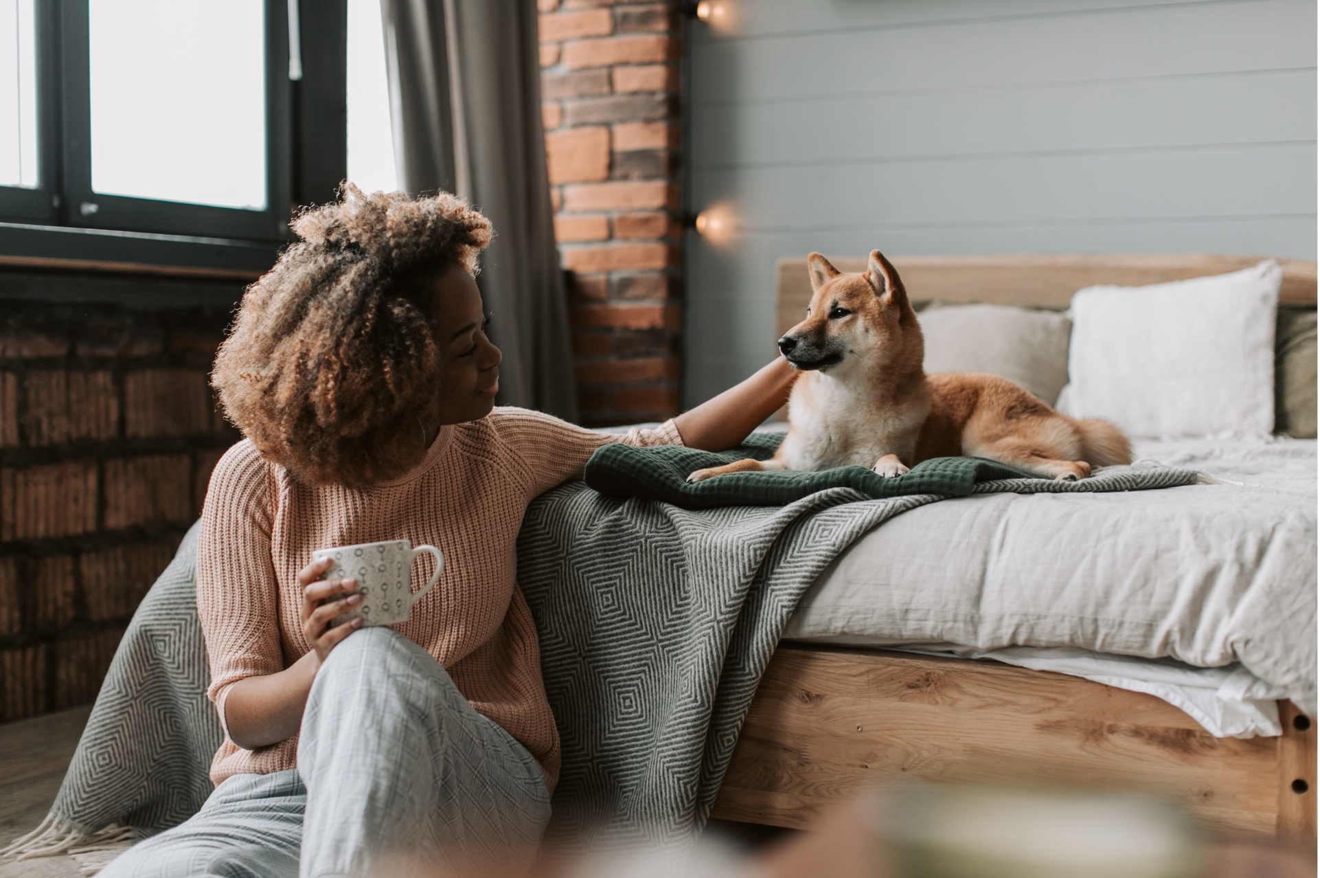 assurance animaux