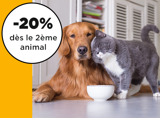 Offre chien chat - 20% assurance animaux solly azar