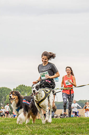 Woof Run - Solly Azar
