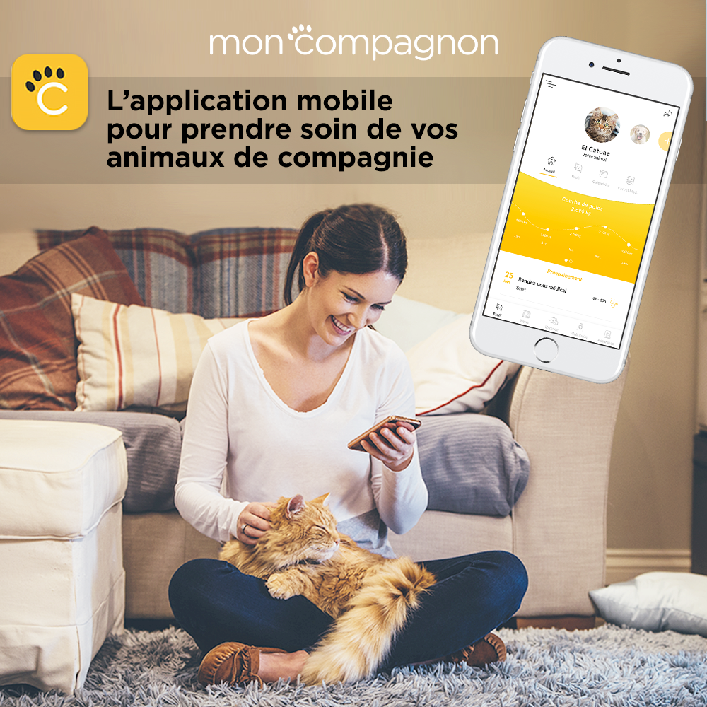 application mobile mon compagnon chat