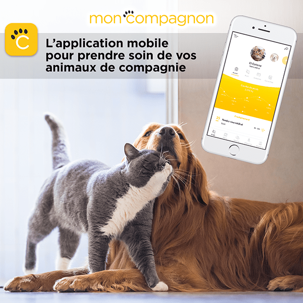 application mobile mon compagnon