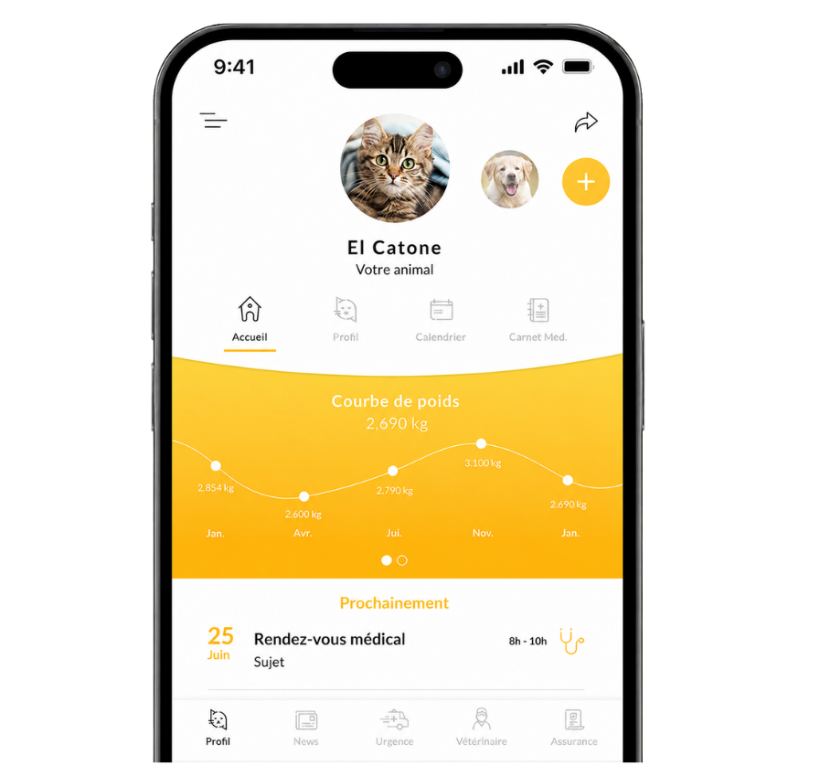 Application mobile Mon compagnon