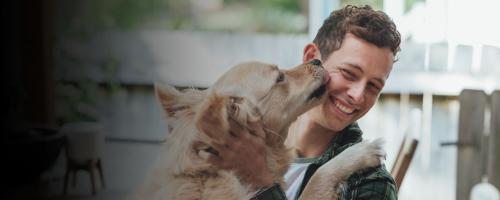 Pourquoi mon chien me lèche ?