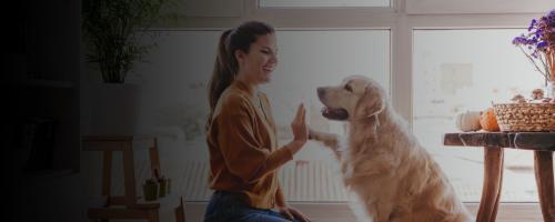 Chien et appartement : est-ce une bonne idée ?