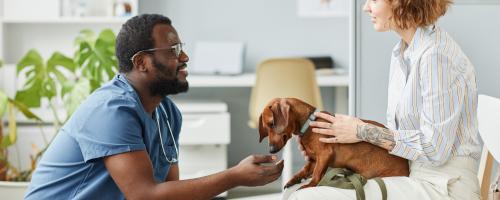 Comment choisir son vétérinaire ?