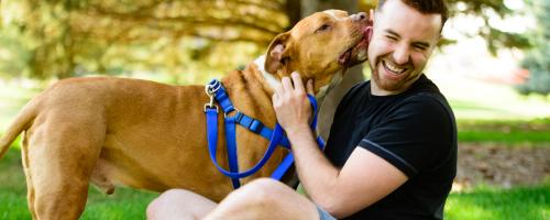 5 raisons qui expliquent pourquoi les chiens lèchent leur maître