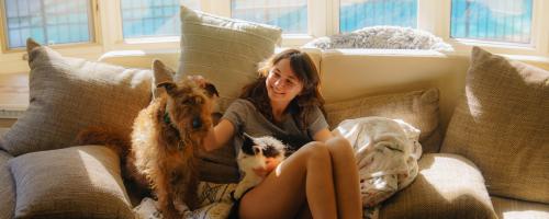 barometre-chien-chat