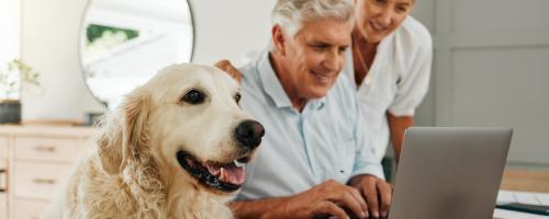 qui-herite-des-animaux-de-compagnie-apres-le-deces-de-leur-proprietaire